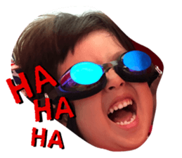 290233690