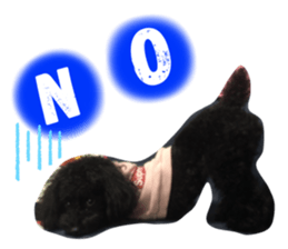 290300926