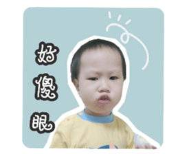 290314366