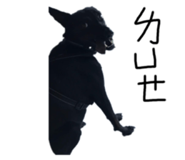 290318810