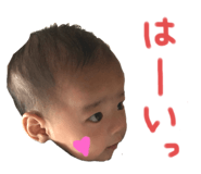 290333742