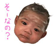 290333744