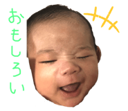 290333748