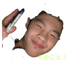 290348856