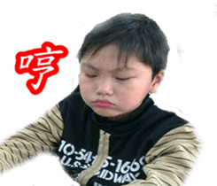 29036331