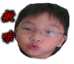 29036333