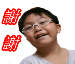 29036334