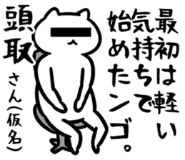 29040011