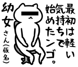 29040891