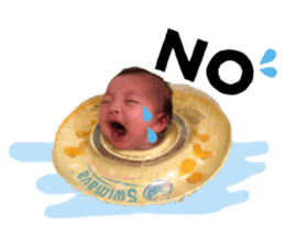 290493475