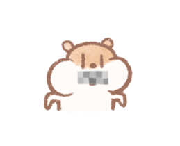 290501205