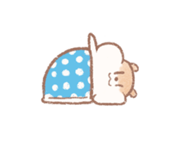 290501210