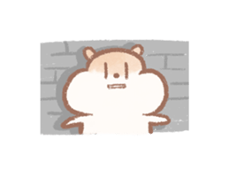 290501214