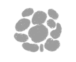 290501215