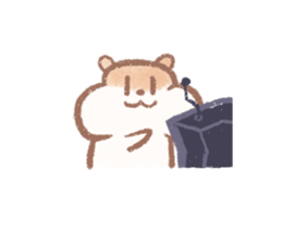 290501216