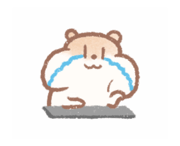 290501219