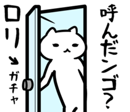 29050218
