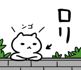 29050227