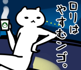 29050247