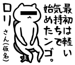29050251