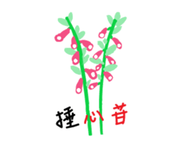 290503388