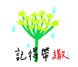 290503390