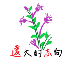 290503393