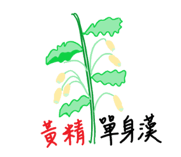 290503397