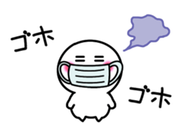 290506690