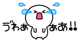 290506691