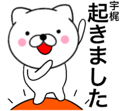 29051008