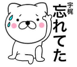29051035