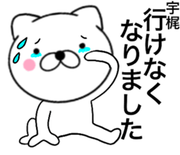 29051045