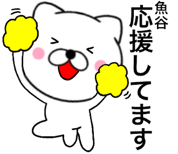 29051069