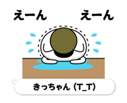 290511889