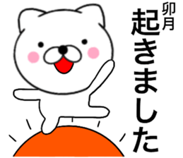 29051760
