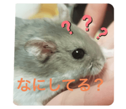 290528675