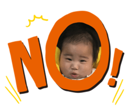 290531226