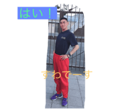 290533132