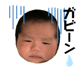 290536779