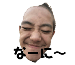 290539249