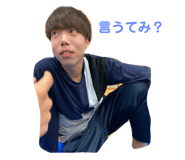 290565023