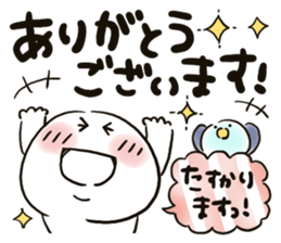 290572403