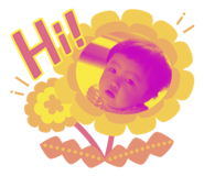 290580194