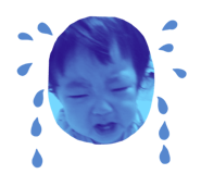 290580195