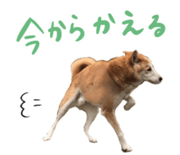 290604350