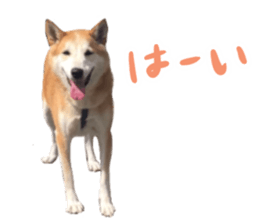 290604365