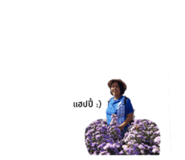 290605344