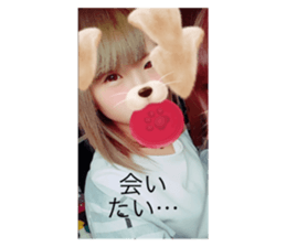 290620817