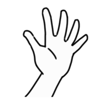 29063951